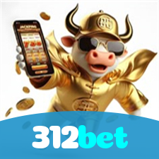 Problemas de Login no 312bet